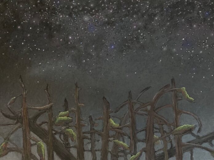 Night Life-K.Faulkner (1)